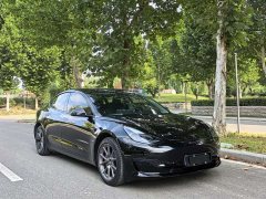 Tesla Model 3 Rear-Wheel Drive - ფოტო 3