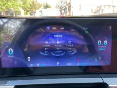 Chery Tiggo 7 PLUS Champion Edition 1.5TCI CVT Luxury - ფოტო 10