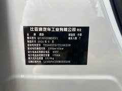 Denza BYD Denza D9 EV 600 AWD Flagship - ფოტო 14