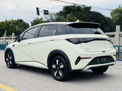 BYD Dolphin Smart Drive 410km Fashion Edition - ფოტო 3
