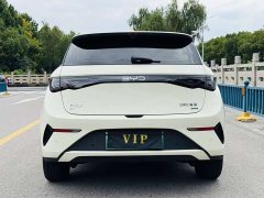 BYD Dolphin Smart Drive 410km Fashion Edition - ფოტო 4