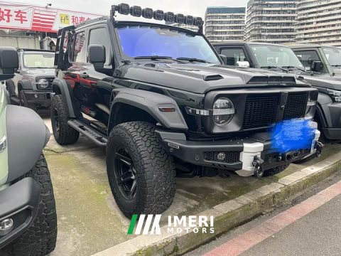 2021 Tank 300 Off-Road Edition 2.0T Challenger - ავტომობილი ჩინეთიდან