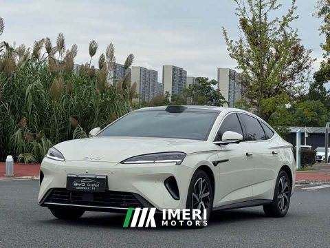 2025 BYD Dolphin 07 DM-i 2026 DM-i 1.5T 230km Flagship - ავტომობილი ჩინეთიდან