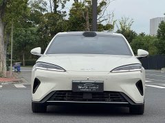 BYD Dolphin 07 DM-i 2026 DM-i 1.5T 230km Flagship - ფოტო 2