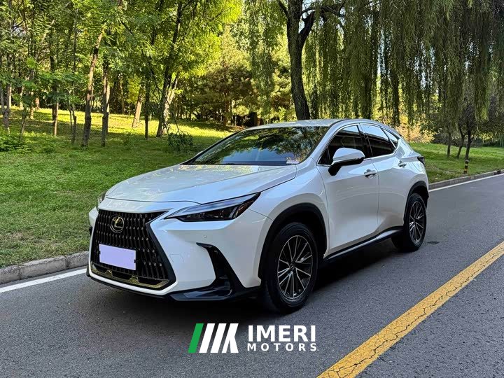 Lexus NX 2023 260 FWD Creative Edition - ავტომობილი ჩინეთიდან