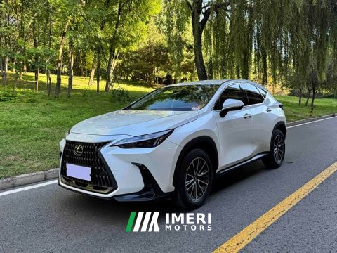 2024 Lexus NX 2023 260 FWD Creative Edition - ავტომობილი ჩინეთიდან