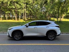 Lexus NX 2023 260 FWD Creative Edition - ფოტო 3