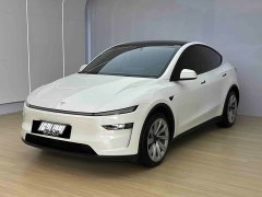 Tesla Model Y Long Range All-Wheel Drive - ფოტო 1
