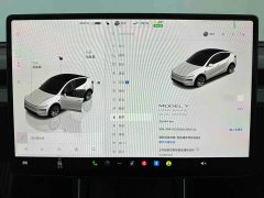 Tesla Model Y Long Range All-Wheel Drive - ფოტო 13