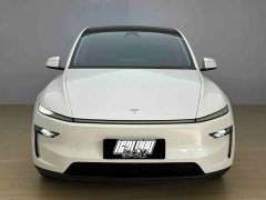 Tesla Model Y Long Range All-Wheel Drive - ფოტო 2