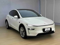 Tesla Model Y Long Range All-Wheel Drive - ფოტო 3