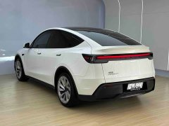 Tesla Model Y Long Range All-Wheel Drive - ფოტო 6