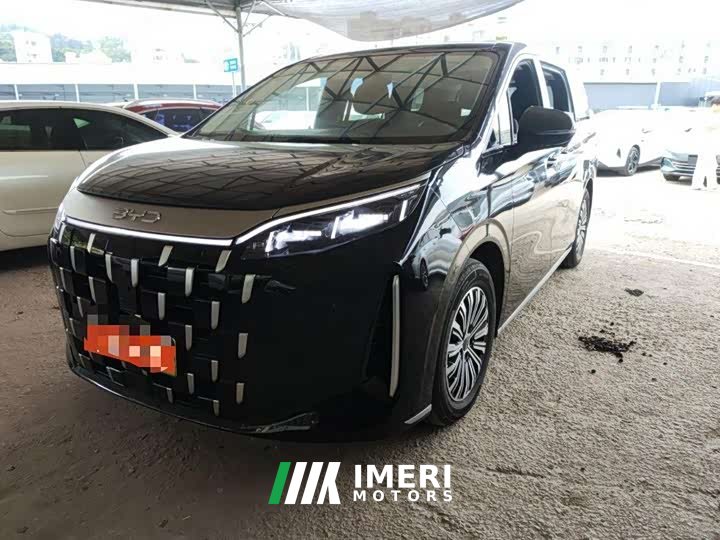 BYD M9 1060 Pilot Edition