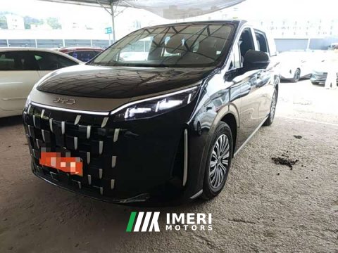 2025 BYD M9 1060 Pilot Edition - ავტომობილი ჩინეთიდან