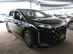 BYD M9 1060 Pilot Edition - ფოტო 2