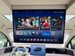 Denza BYD Denza N9 Flagship - ფოტო 14