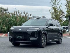 Denza BYD Denza N8L Flagship - ფოტო 1