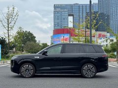 Denza BYD Denza N8L Flagship - ფოტო 20