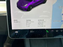 Tesla Model 3 Standard Range RWD Upgrade - ფოტო 10
