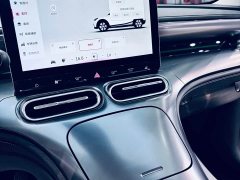smart #1 Pro - ფოტო 8