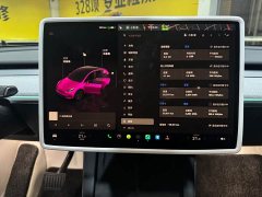 Tesla Model Y Rear-Wheel Drive - ფოტო 10