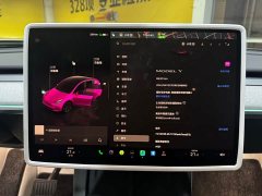 Tesla Model Y Rear-Wheel Drive - ფოტო 8