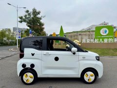 Chery QQ Ice Cream 120km Sweet Cone LFP - ფოტო 16