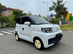 Chery QQ Ice Cream 120km Sweet Cone LFP - ფოტო 4