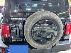 Tank 300 2024 2.0T Conqueror - ფოტო 8