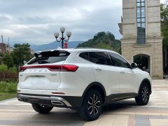 Haval H6 2021 National Trend 1.5GDIT Automatic Champion Edition - ფოტო 13