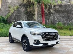 Haval H6 2021 National Trend 1.5GDIT Automatic Champion Edition - ფოტო 3