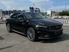 Geely Xingrui 2.0T Diesel Premium Edition - ფოტო 3