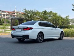 BMW 5 Series 530Li Premier M Sport Package - ფოტო 9