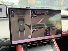 Luxeed Zhiji S7 Max - ფოტო 13