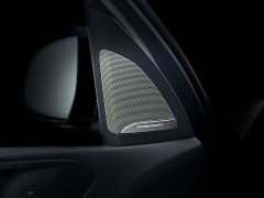BMW X5 xDrive 30Li M Sport Luxury Night Edition Package - ფოტო 12