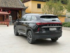 Haval H6 Third Generation 1.5T Automatic Two-Wheel Drive Max - ფოტო 12