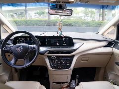 Buick GL8 ES Land Respect 653T Premier - ფოტო 10