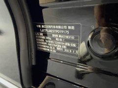 Zeekr Geely Geometry 009 Seven-Seat Ultra Home Edition - ფოტო 18