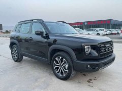 Great Wall Dachshund 2024 2.0T DCT Chinese Rural Dog Edition - ფოტო 3