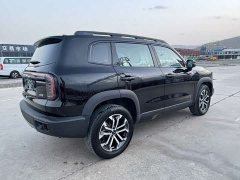 Great Wall Dachshund 2024 2.0T DCT Chinese Rural Dog Edition - ფოტო 9