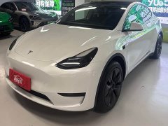 Tesla Model Y Rear-Wheel Drive - ფოტო 1