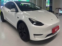 Tesla Model Y Rear-Wheel Drive - ფოტო 3