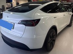 Tesla Model Y Rear-Wheel Drive - ფოტო 8