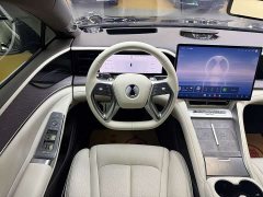 Denza BYD Denza Z9 1100km Range AWD Max - ფოტო 9