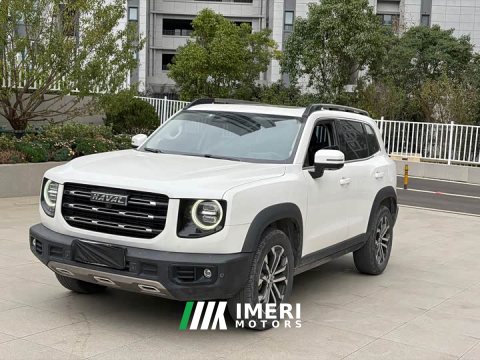 2021 Great Wall Dachshund 1.5T DCT Two-Wheel Drive Border Collie Edition - ავტომობილი ჩინეთიდან
