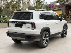 Great Wall Dachshund 1.5T DCT Two-Wheel Drive Border Collie Edition - ფოტო 10