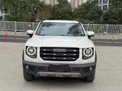 Great Wall Dachshund 1.5T DCT Two-Wheel Drive Border Collie Edition - ფოტო 2