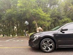 Volkswagen Passat 330TSI Starry Sky Elite - ფოტო 11