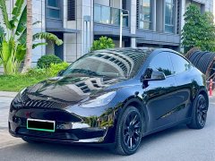 Tesla Model Y Standard Range RWD - ფოტო 1
