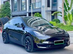 Tesla Model Y Standard Range RWD - ფოტო 3